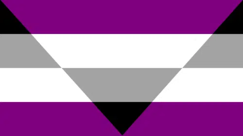 Aegosexual flag