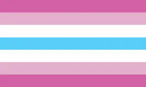 Femboy Flag (Created By Jay)