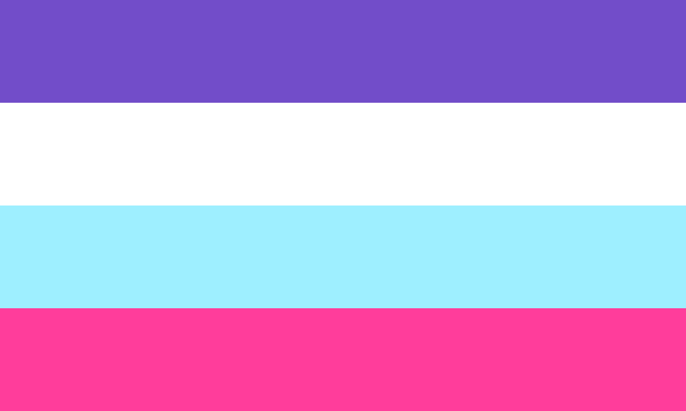 Multisexual flag