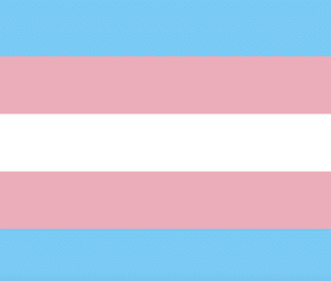 The Trans Pride Flag