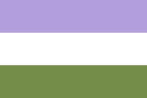 Gender Queer Pride Flag