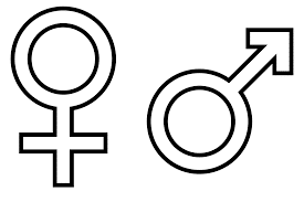 Gender System