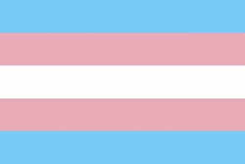 Transgender Pride Flag