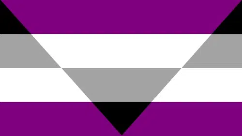 Aegosexual flag