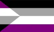 Alternate version of the aegosexual flag