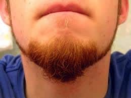 closeup of a goatee beard one of the partial beard styles credit: Wikipedia