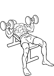 Dumbell bench press on a standard bench press credit wikimedia