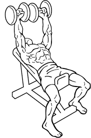 File:Dumbbell-incline-bench-press-1.png ...
