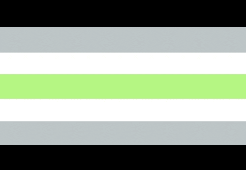 Agender flag