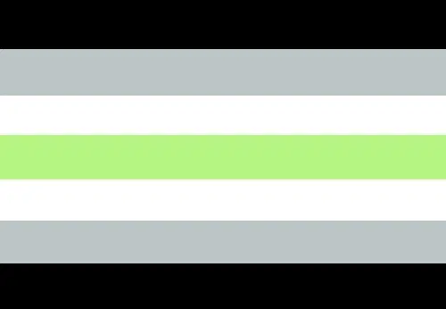 Agender flag