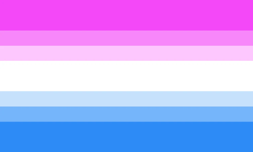 Bi-curious flag