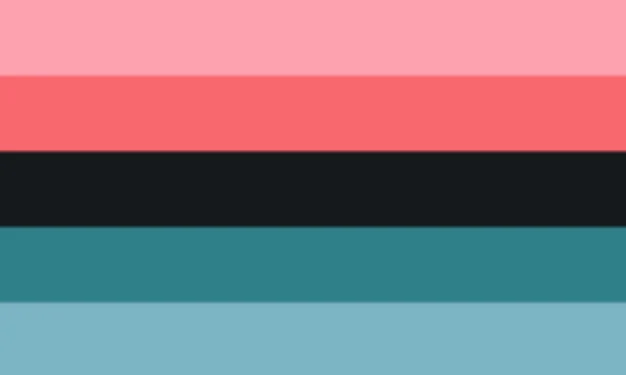 Alternative omnisexual flag by TheNelsonSystem