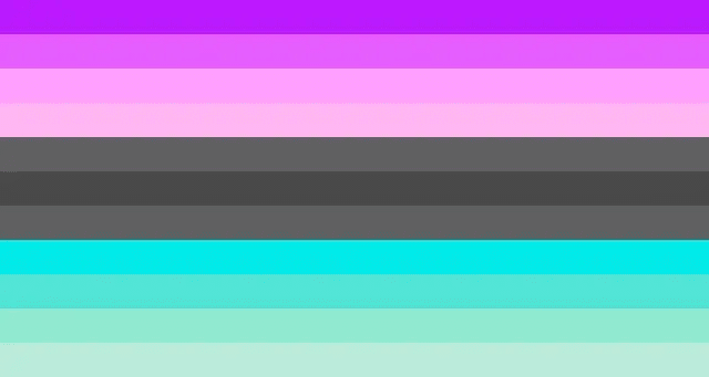 Alternate omnisexual flag