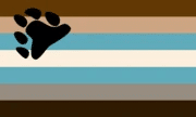 Transgender flag for bears
