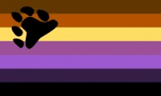 The non-binary flag for bears