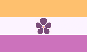 sapphic flag that is inclusive of nonbinary people credit: LGBTQ+ Wiki
