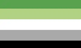 pride flag for the aromantic spectrum credit: University of North Carolina