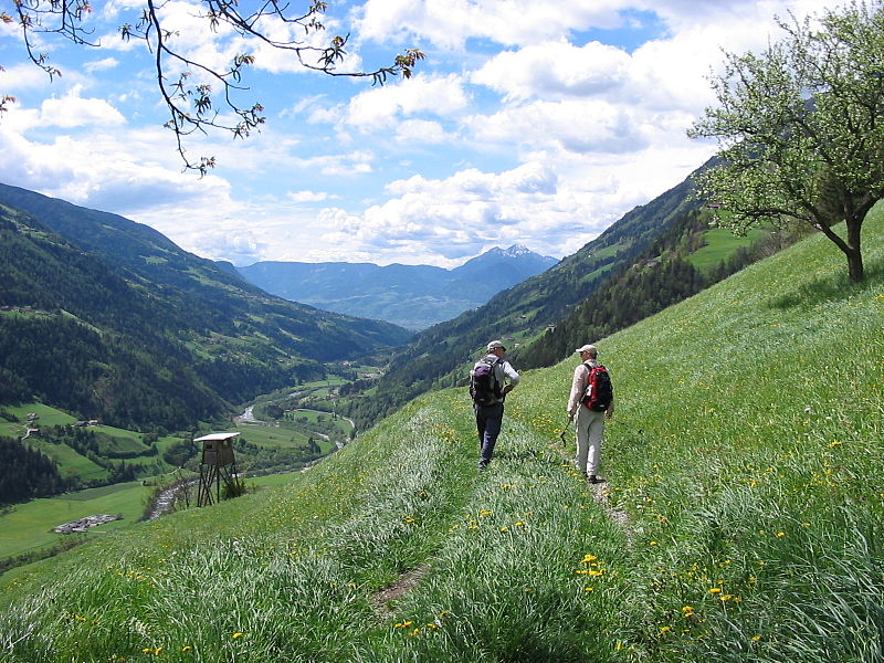 Category:Hiking - Wikimedia Commons