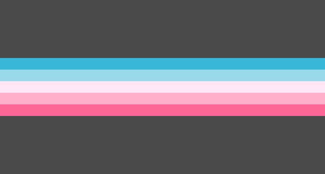 Gender Conforming Pride Flag by pride-flags-for-cishets