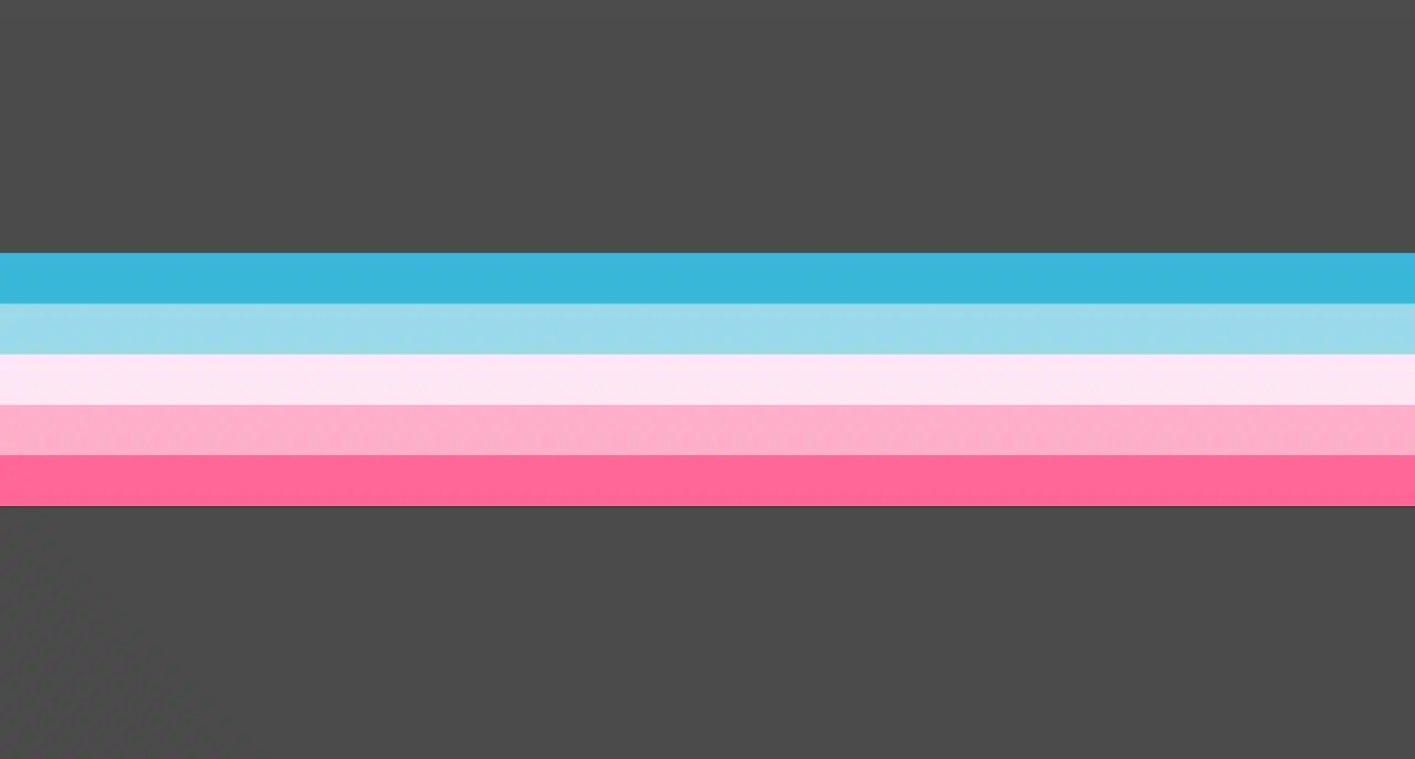 Gender Conforming Pride Flag by pride-flags-for-cishets