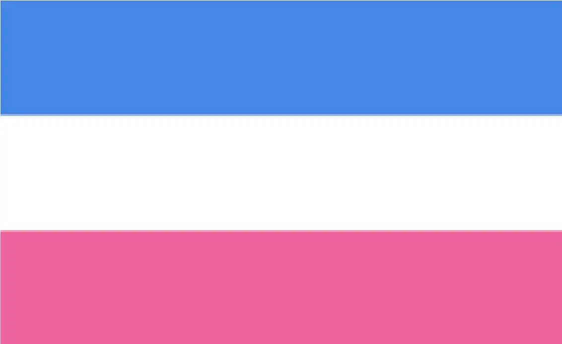 Straight/Heterosexual/Heteroromantic Pride Flag by pride-flags-for-cishets