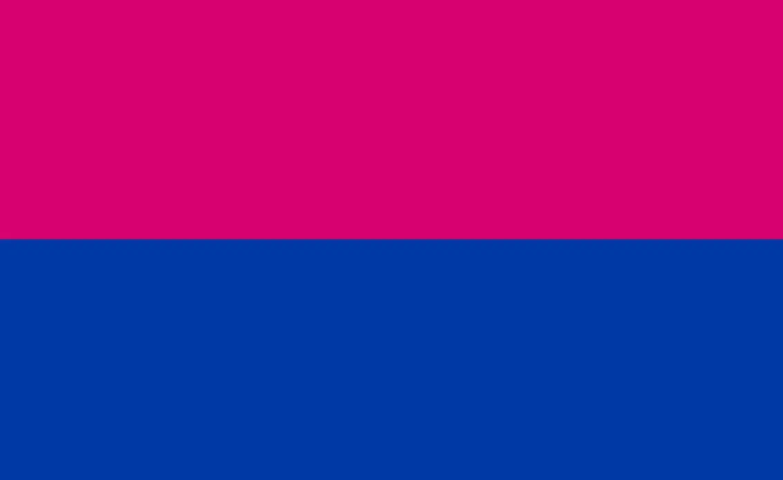 Straight/Heterosexual/Heteroromantic Pride Flag by pride-flags-for-cishets