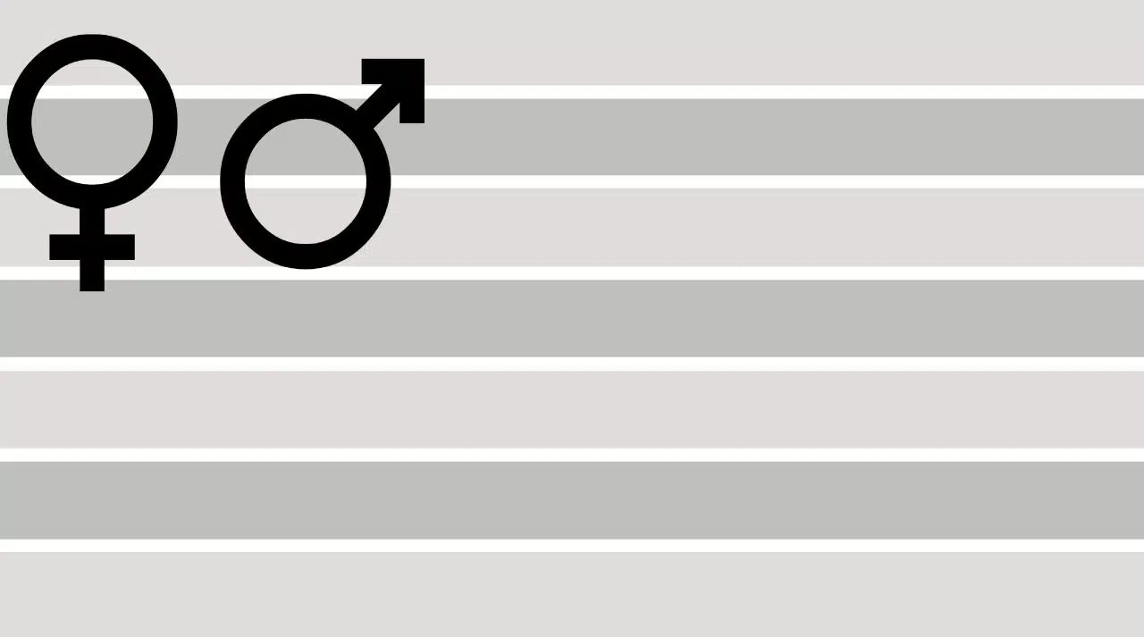 Cissexual Pride Flag by pride-flags-for-cishets