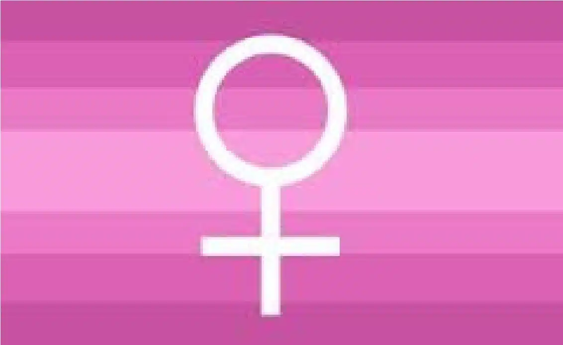 Cisgender Female Pride Flag by pride-flags-for-cishets