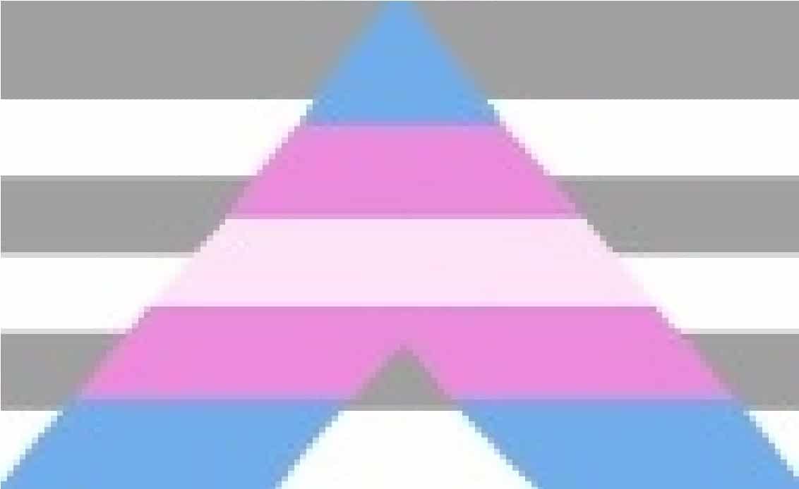 Cisgender Ally Pride Flag by pride-flags-for-cishets
