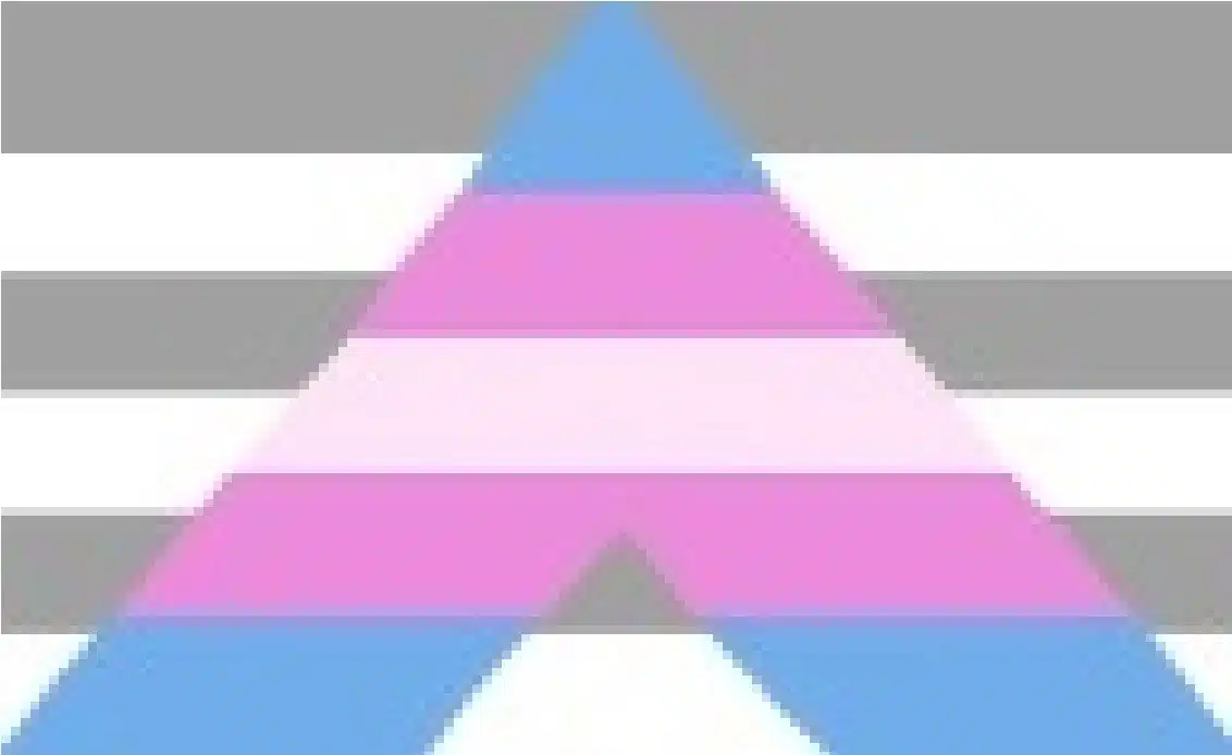 Cisgender Ally Pride Flag by pride-flags-for-cishets
