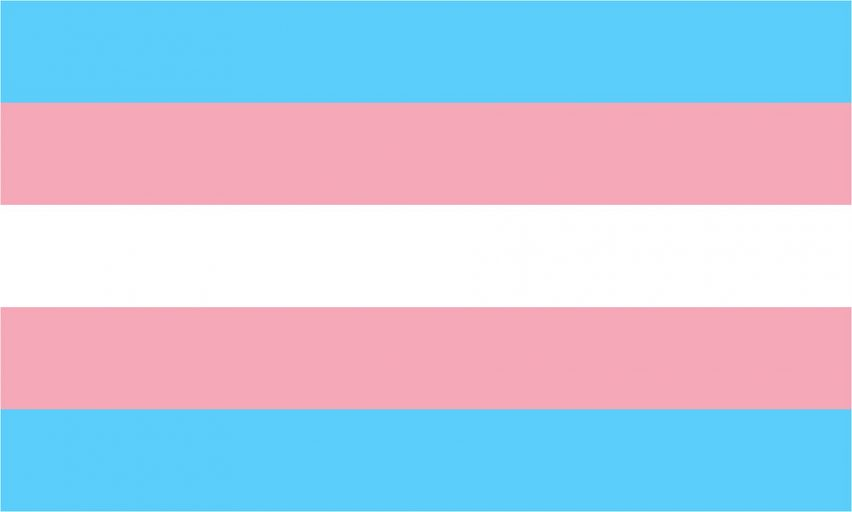 Transgender flag