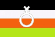 The oldest version of the non-binary flag