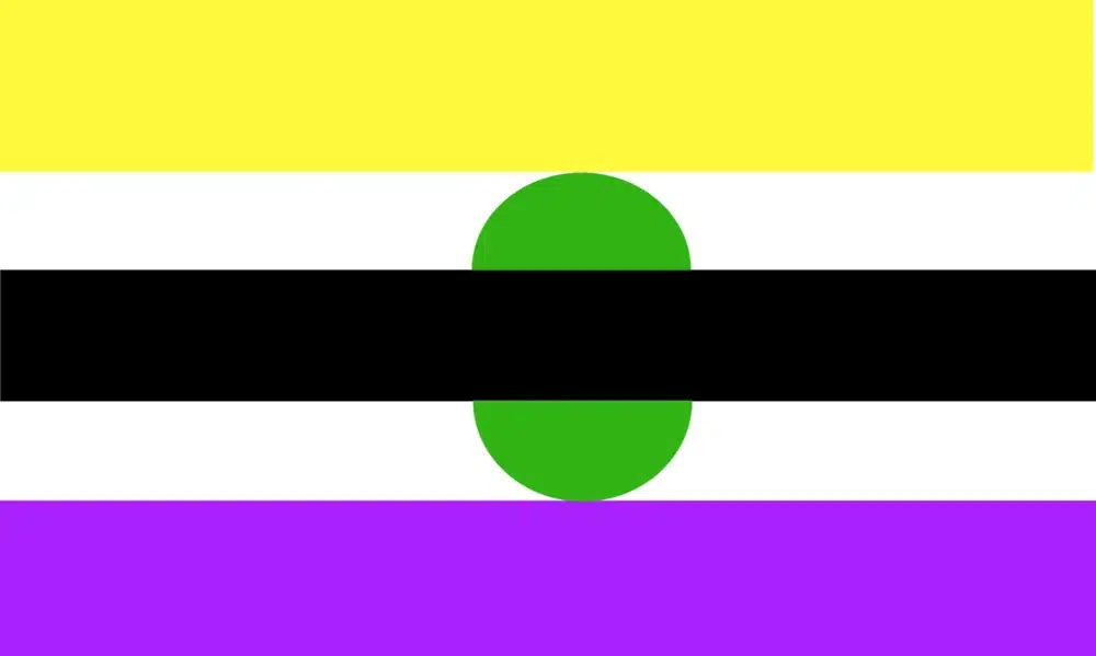 Alternate non-binary flag