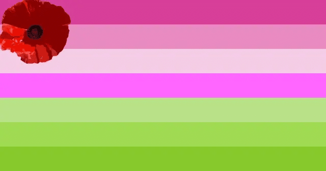 poppy enby/trixic flag