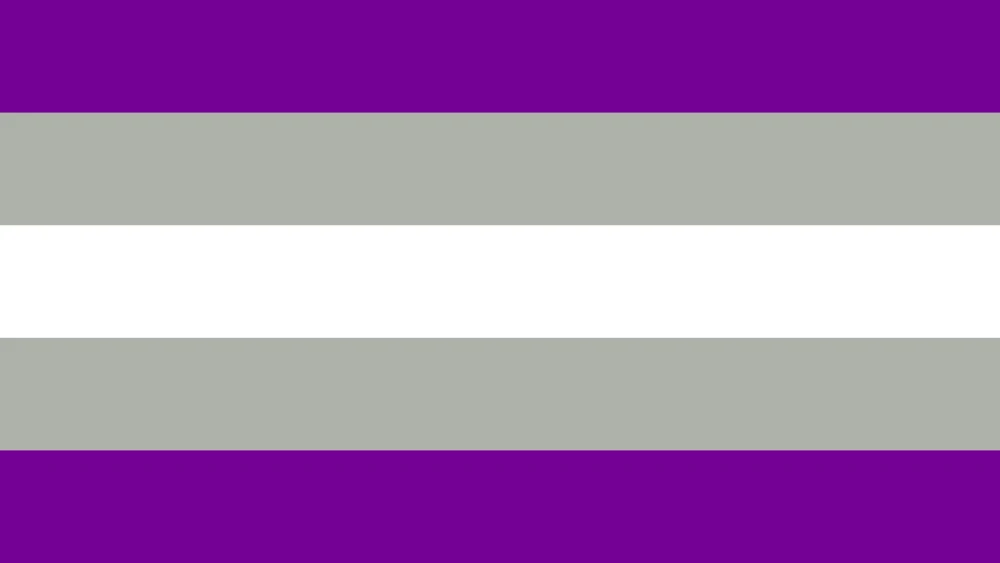 Greysexual flag