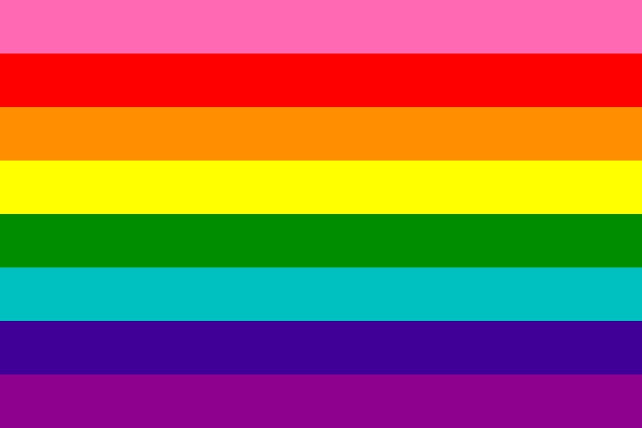 First Gay Pride Flag (1978)
