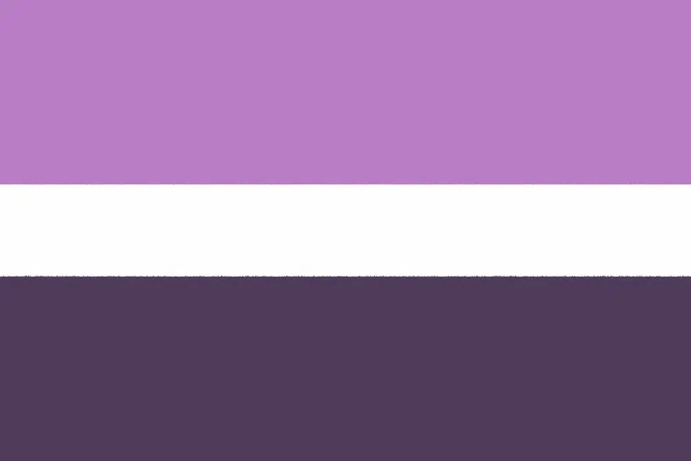 Alternate queer pride flag