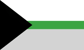 Demiromantic flag