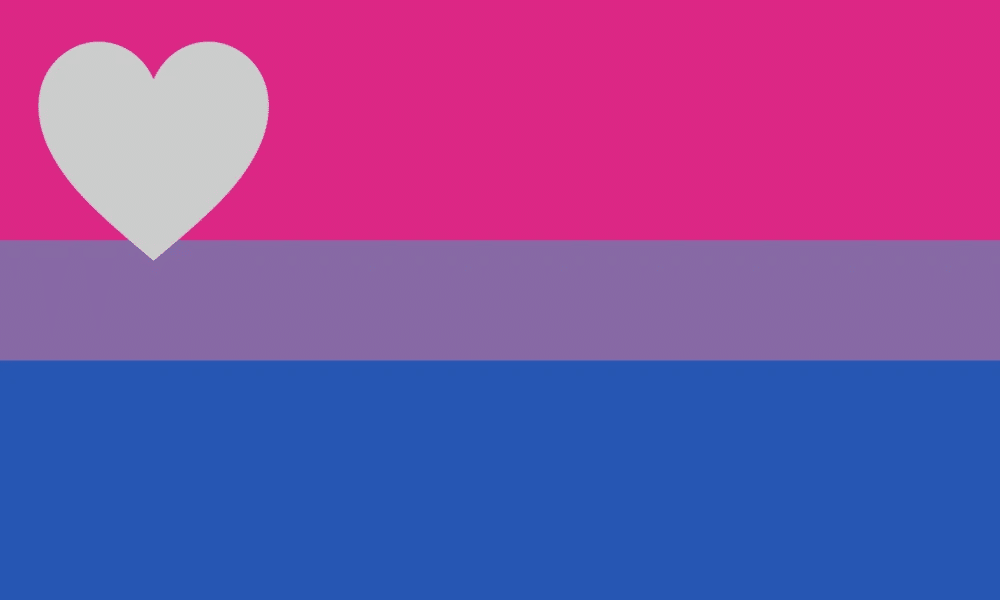 Biromantic flag