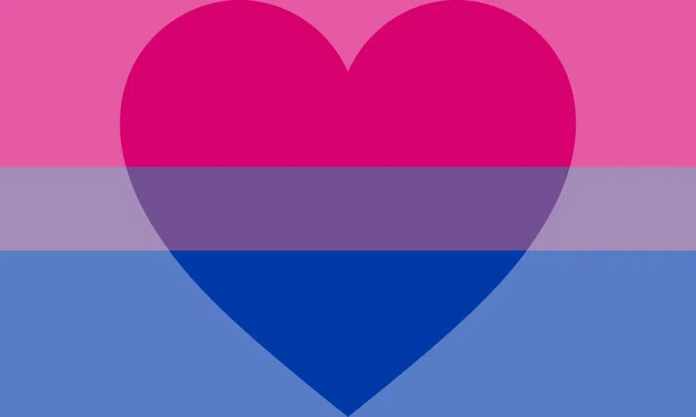 An alternate version of the biromantic flag featuring a heart