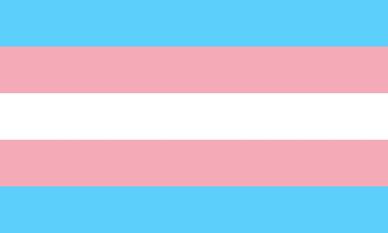 Commonly used trans flag