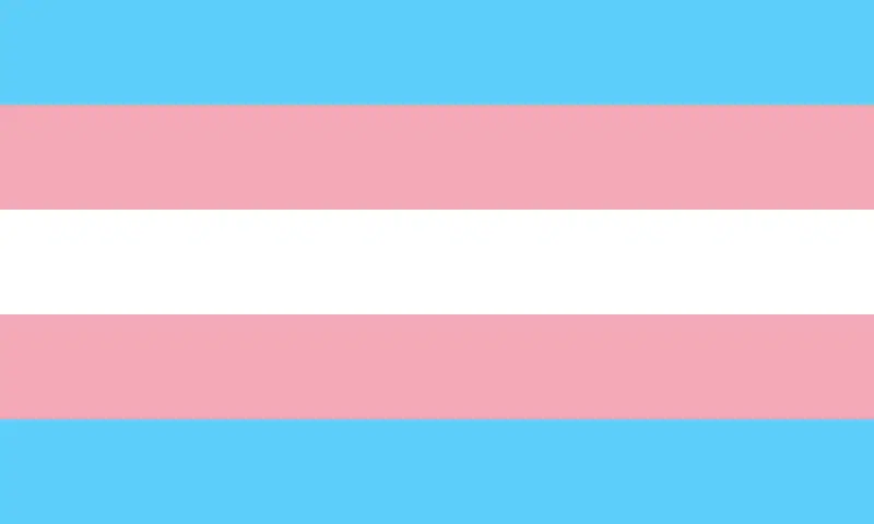 Commonly used trans flag