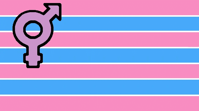 An alternate version of the trans flag
