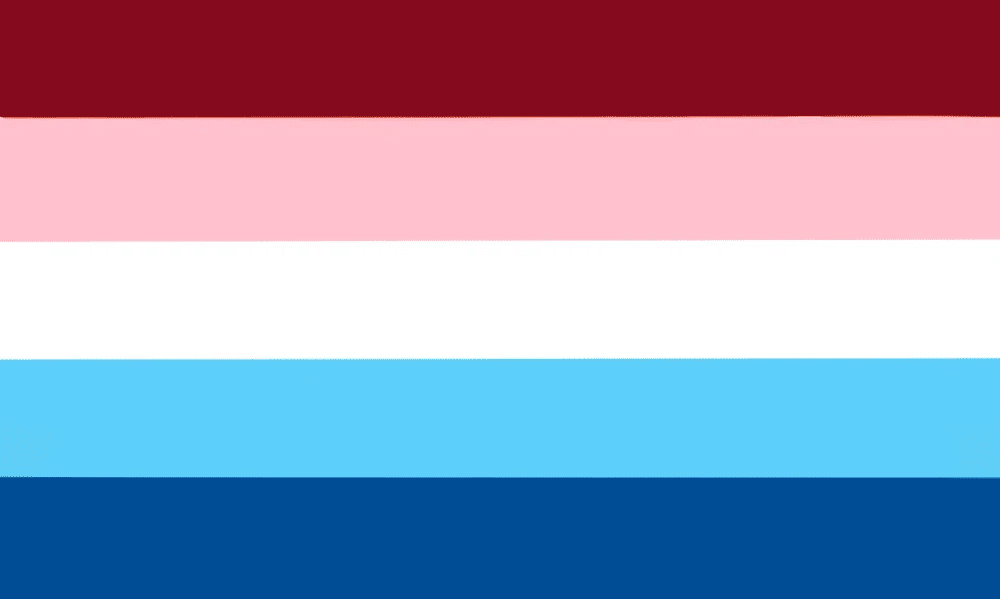 An alternate version of the transgender flag