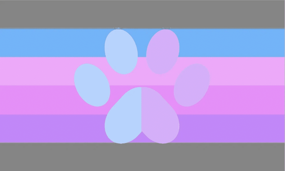 Inclusive demicat/demicatgender flag by Glitchywitch