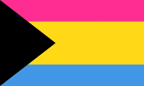 Demisexual Panromantic Flag