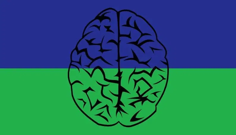 Another sapiosexual flag