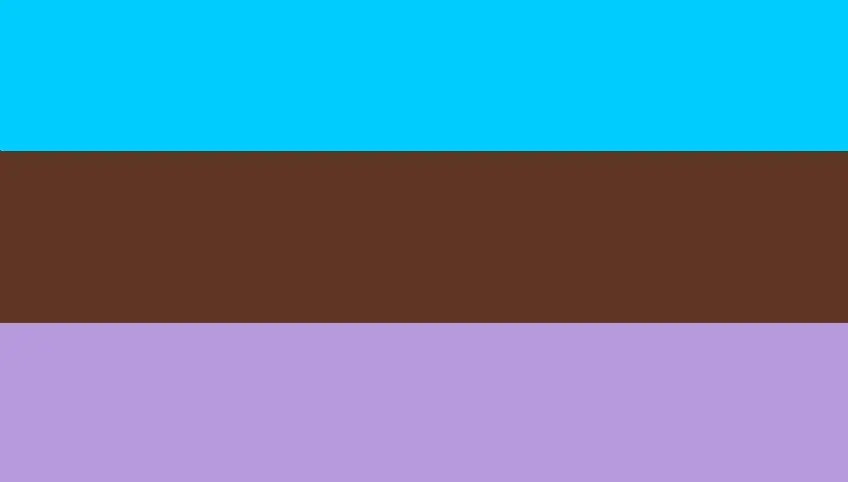 Androsexual flag