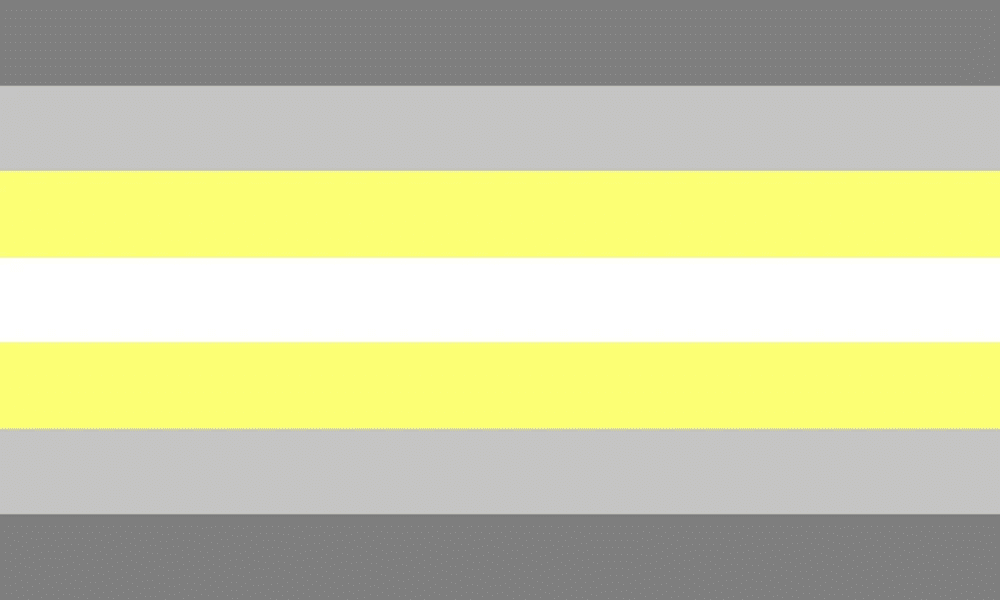 Deminonbinary flag