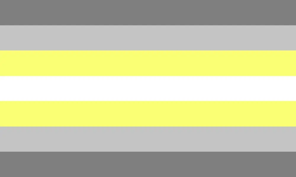 Deminonbinary flag